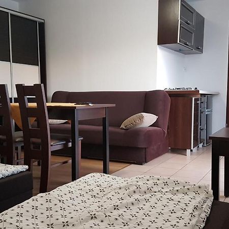 E&S_ Apartament Milicz Esterno foto